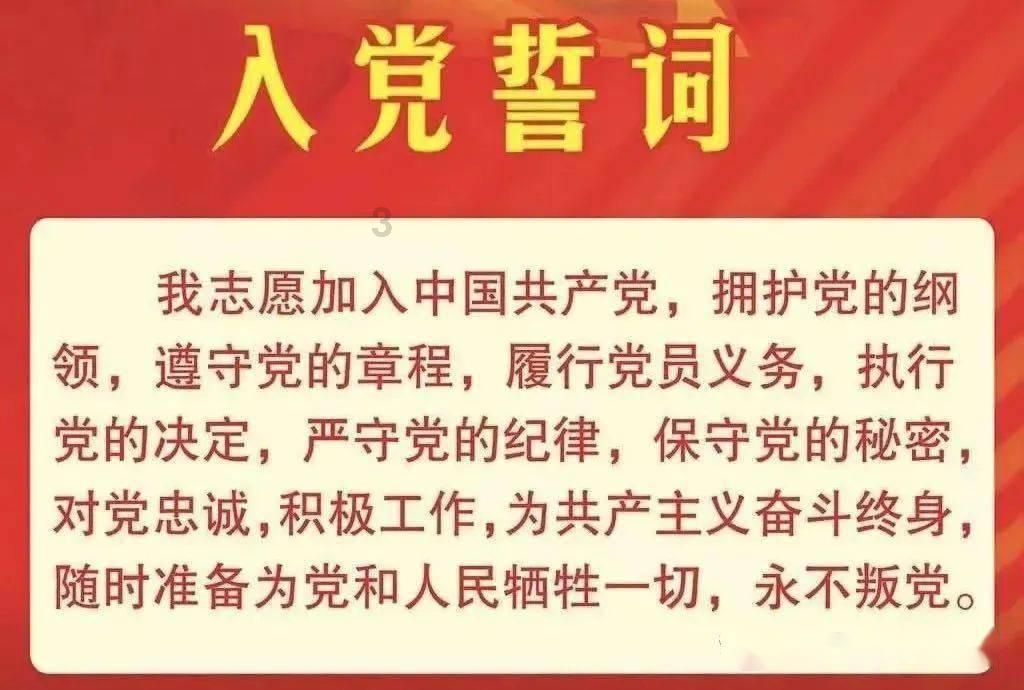 盐和避难所